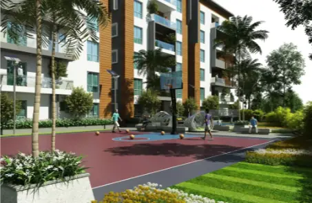 Bayhills construction